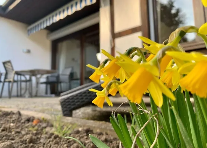 Haus Delbar Bodman-Ludwigshafen